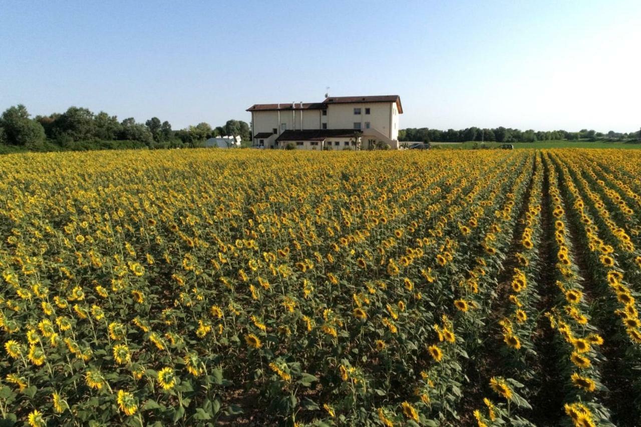 Al Cavaliere Villa Порденоне Екстериор снимка